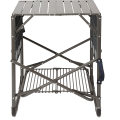 Lecoule Take Along Grill Stand Portable Grill Stove Stainless Steel Cover Folding Material Type grill